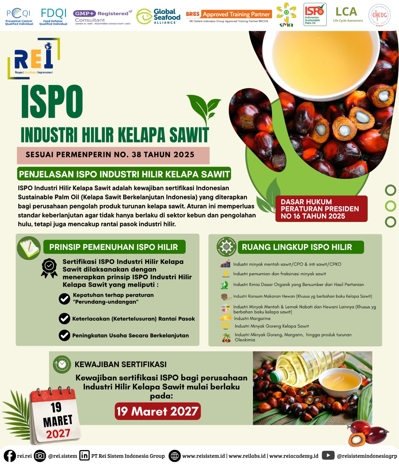 ISPO Perkebunan, Hilir, Bioenergi Kelapa Sawit